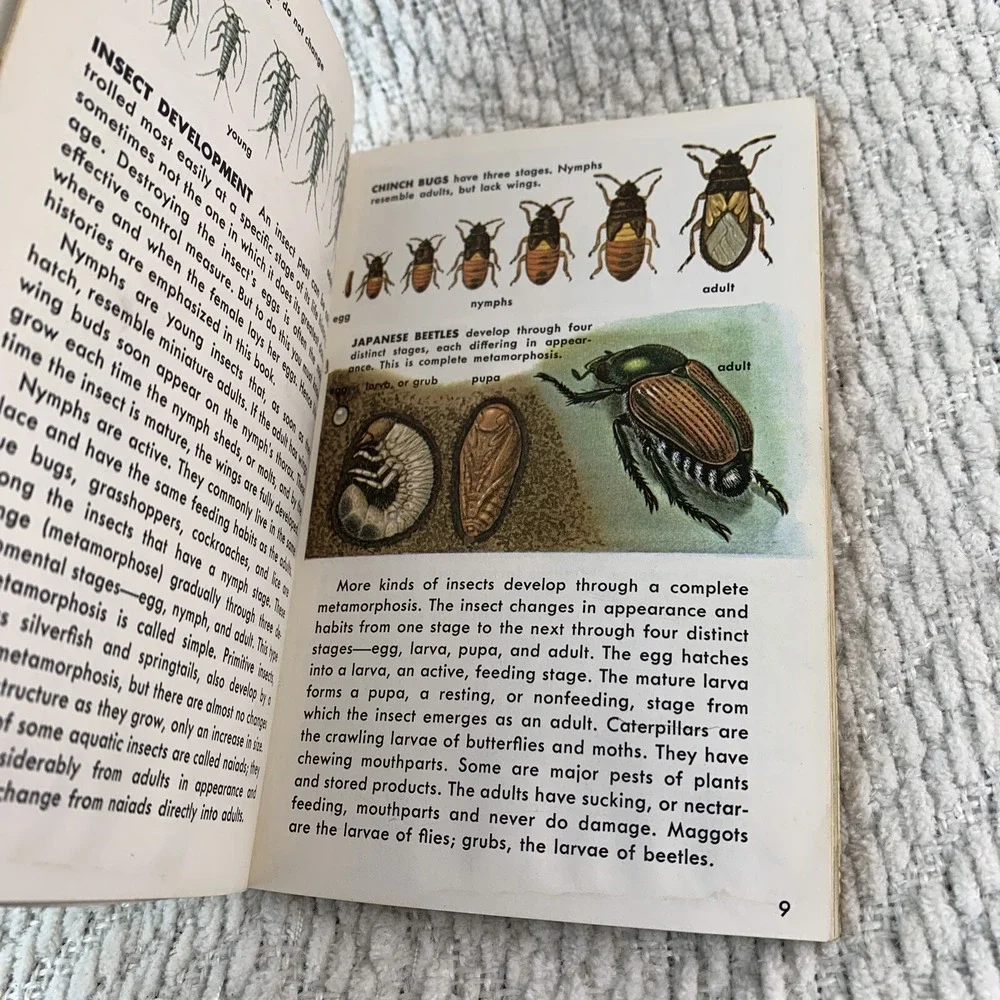1966 A Golden Nature Guide INSECT PESTS by Herbert Zimm Home Garden Field Forest - Picture 13 of 16